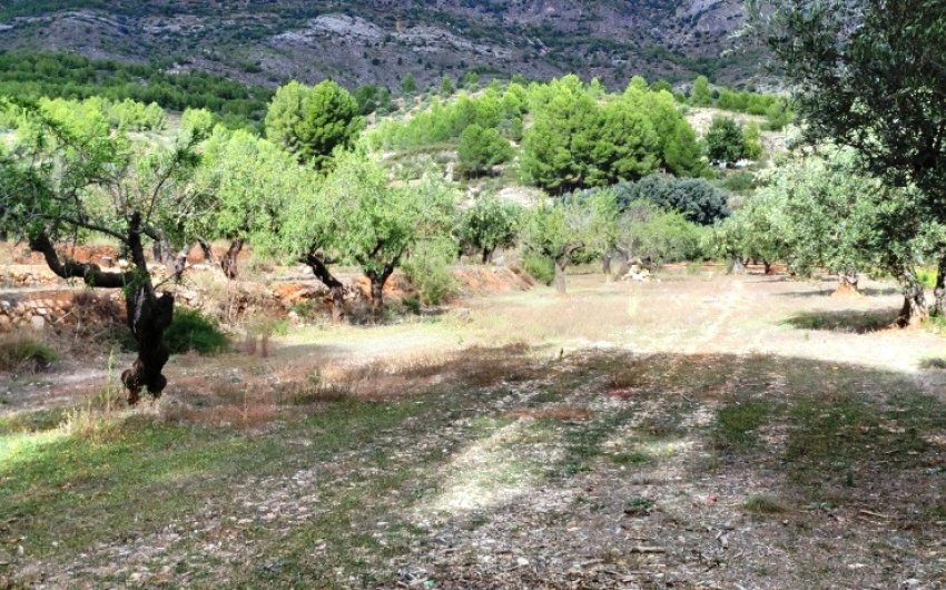 Revente - Country House -
Muro de Alcoy