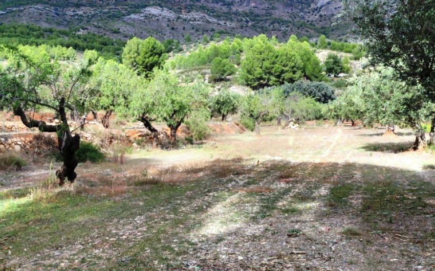 Revente - Country House -
Muro de Alcoy