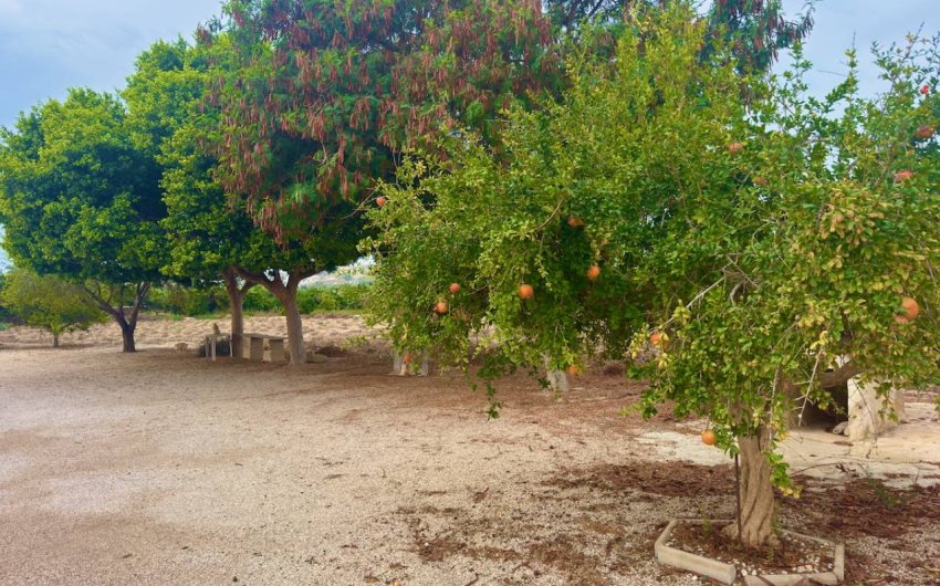 Revente - Country House -
Rojales - Ciudad Quesada