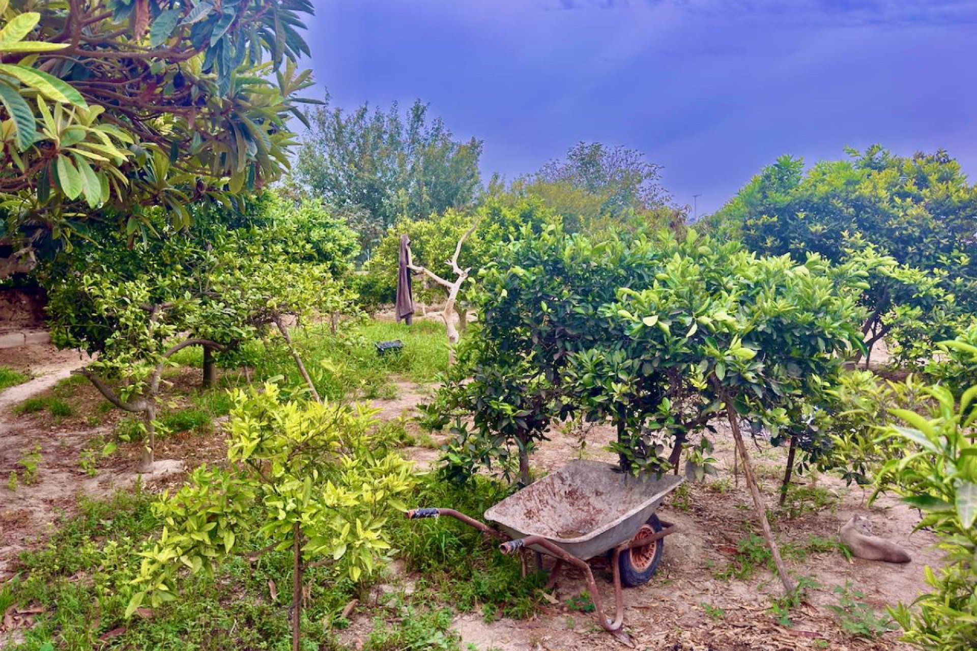 Revente - Country House -
Rojales - Ciudad Quesada