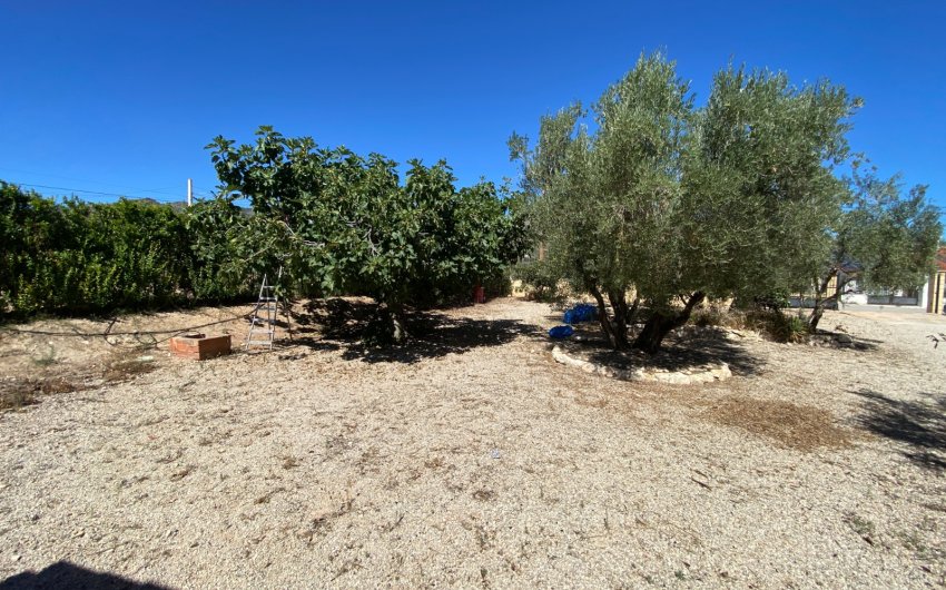 Revente - Country House -
Salinas