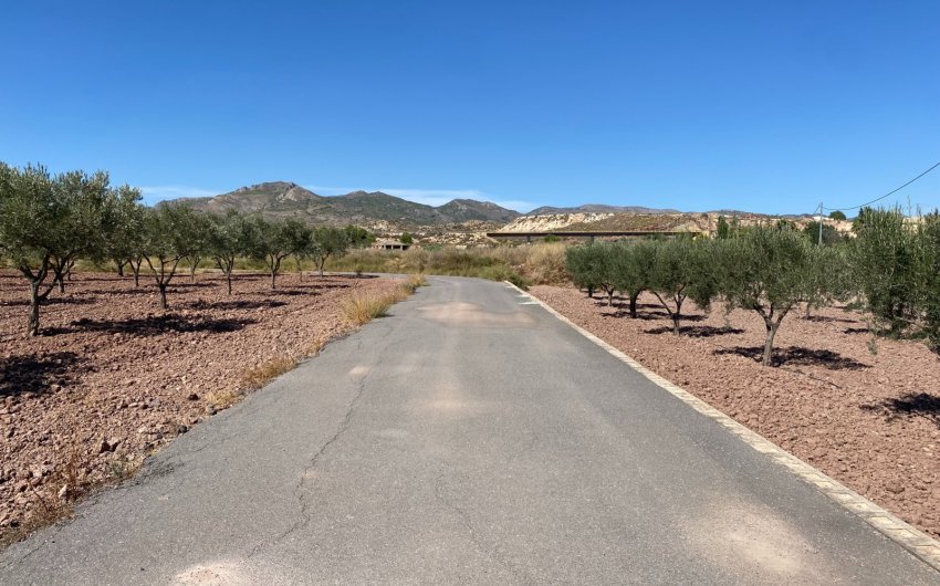 Revente - Country House -
Sax