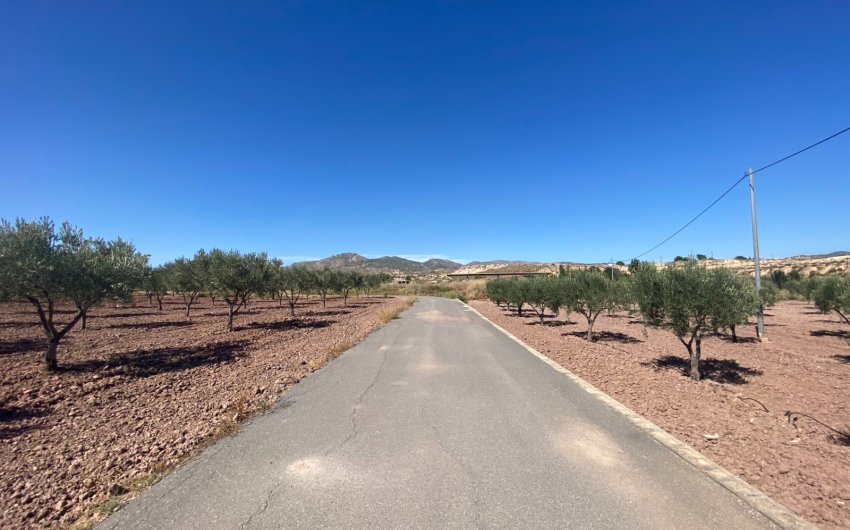 Revente - Country House -
Sax