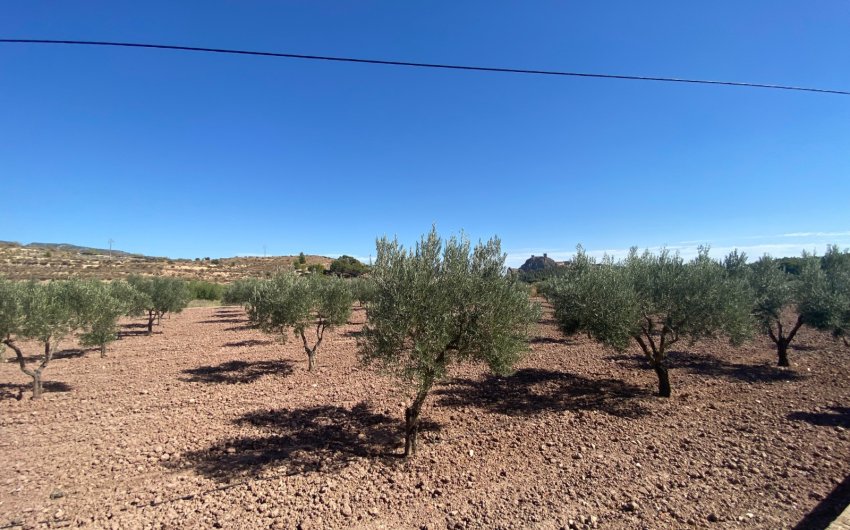 Revente - Country House -
Sax