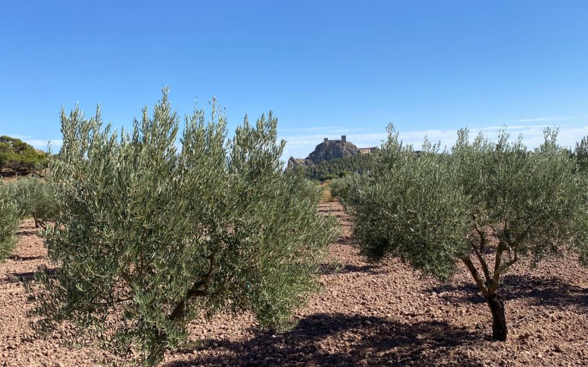 Revente - Country House -
Sax