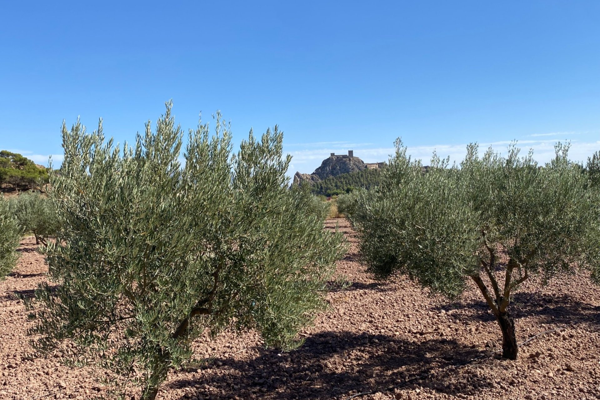 Revente - Country House -
Sax