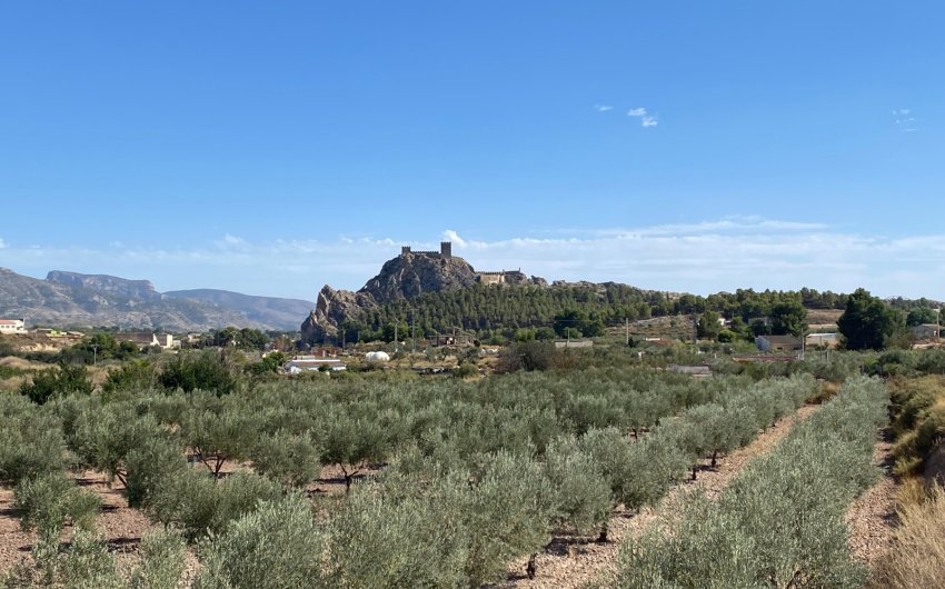 Revente - Country House -
Sax