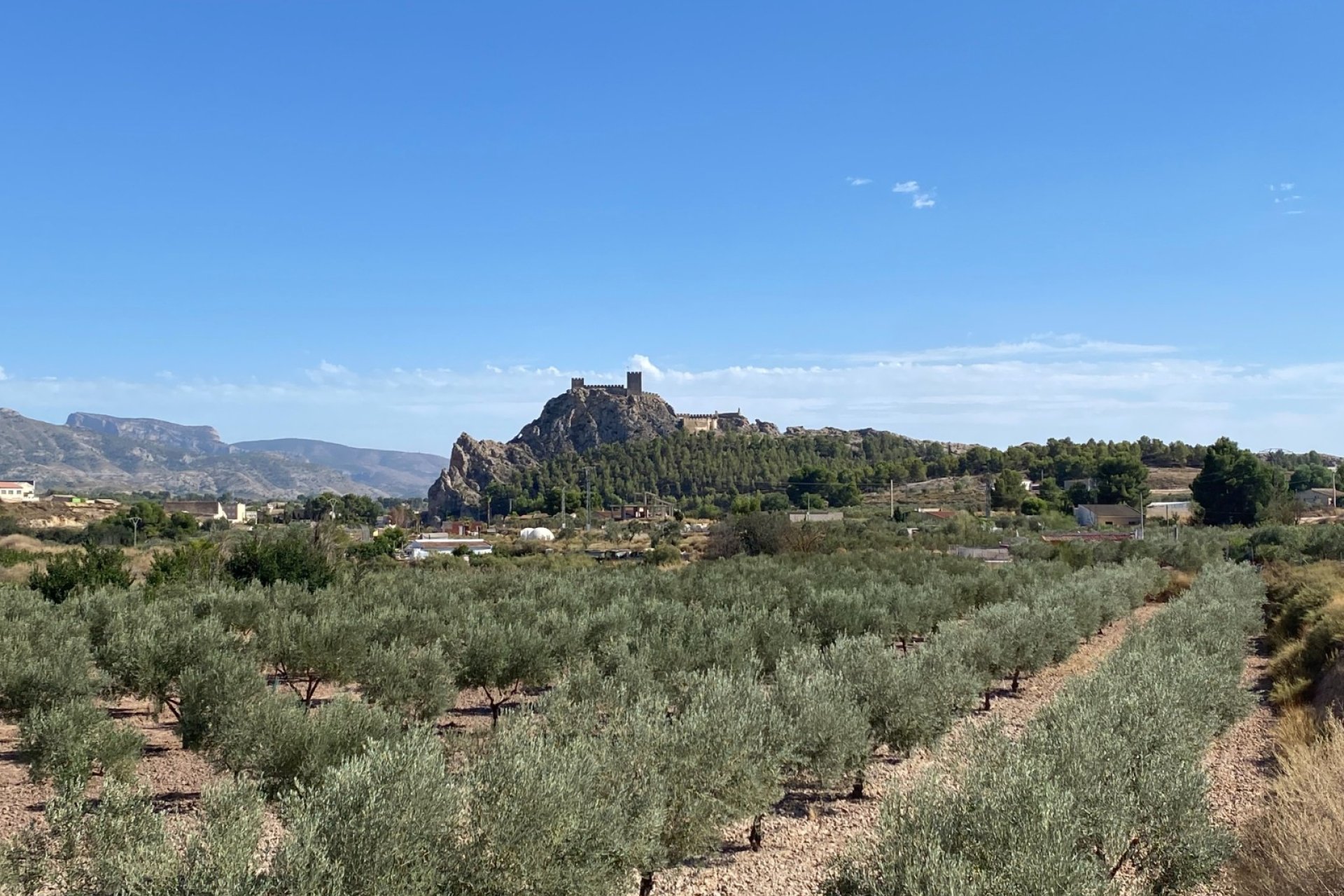 Revente - Country House -
Sax