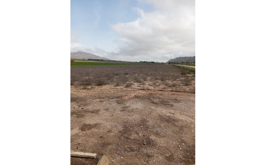 Revente - Country House -
Yecla - Inland