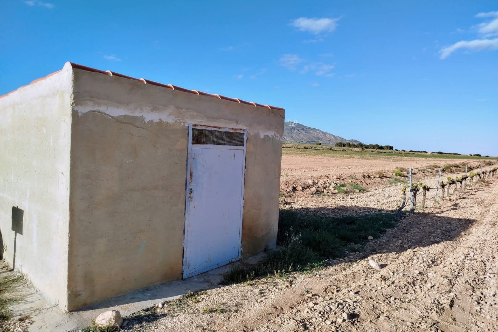 Revente - Country House -
Yecla - Inland