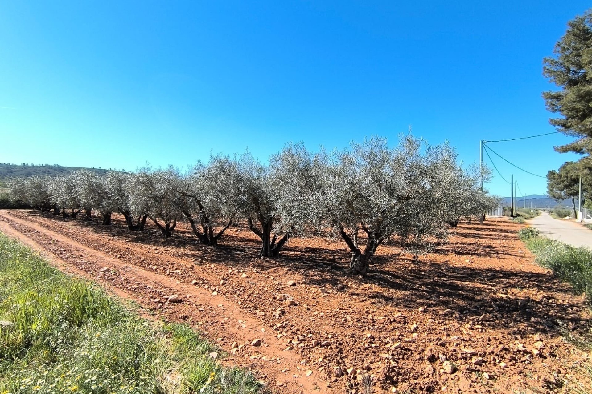 Revente - Country House -
Yecla - Inland