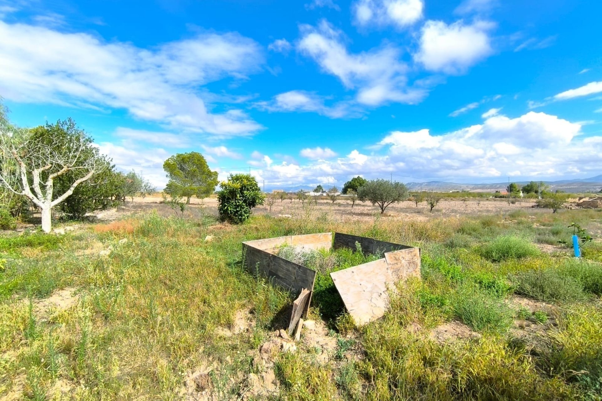 Revente - Country House -
Yecla - Inland