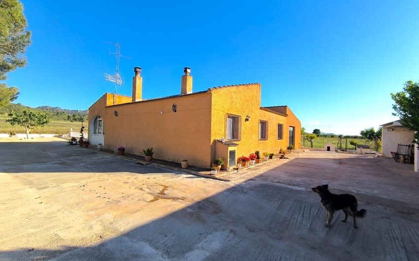 Revente - Country House -
Yecla - Inland