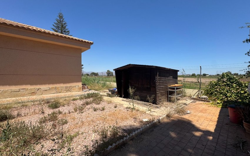 Revente - Finca -
Dolores - Comunidad Valenciana