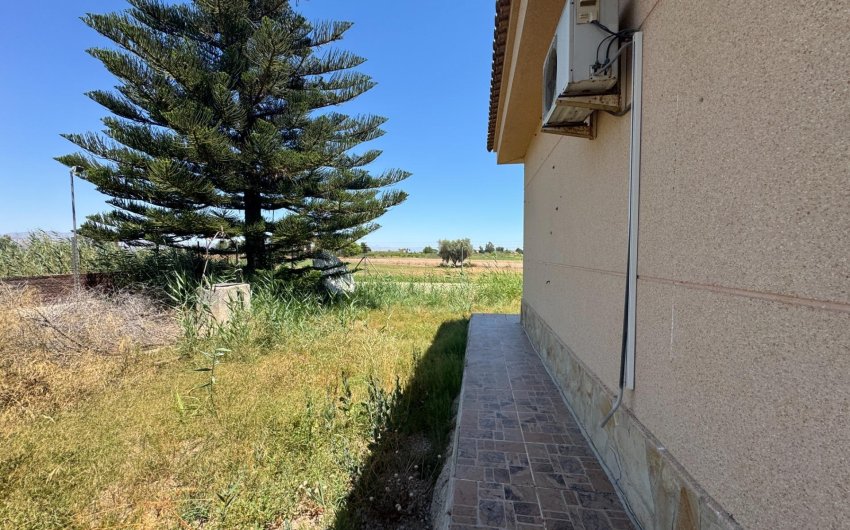 Revente - Finca -
Dolores - Comunidad Valenciana