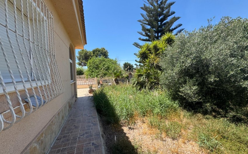 Revente - Finca -
Dolores - Comunidad Valenciana