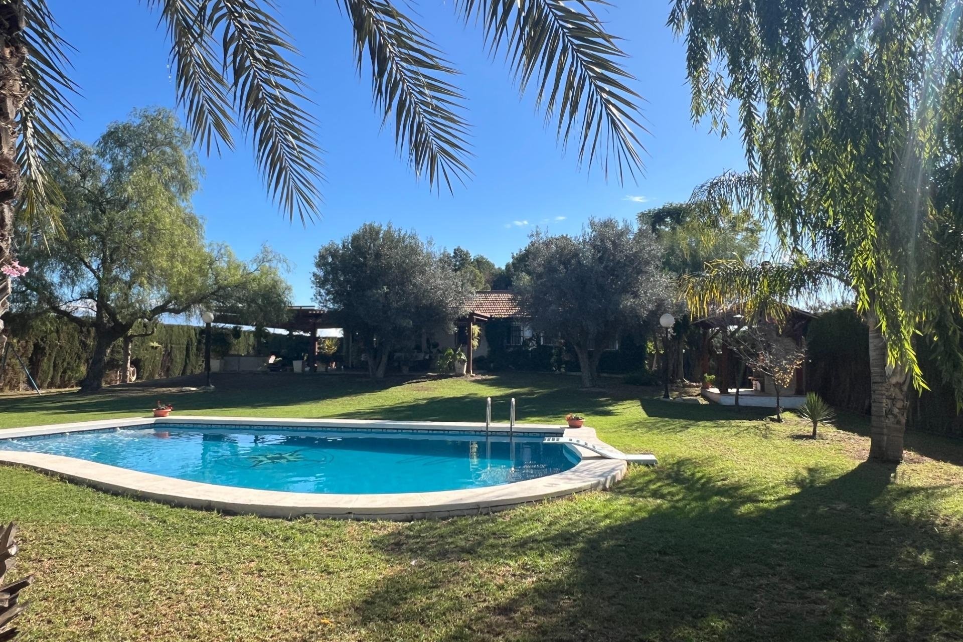 Revente - Finca -
Dolores - Comunidad Valenciana