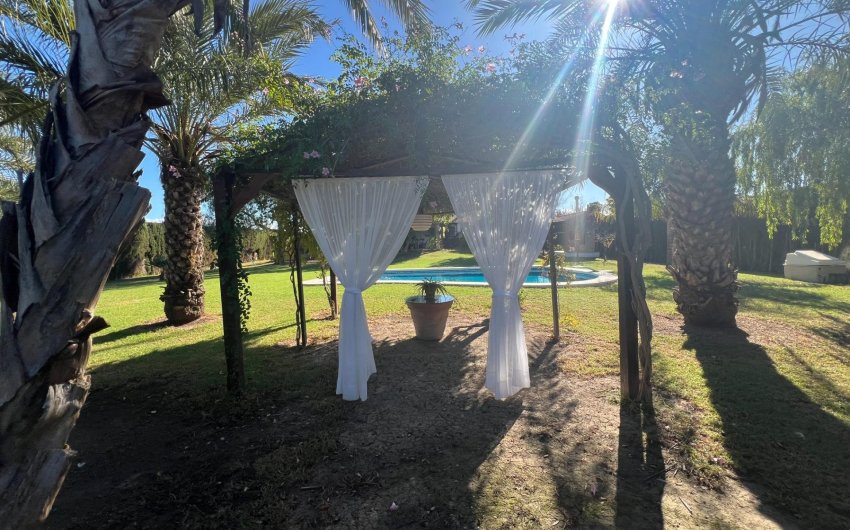 Revente - Finca -
Dolores - Comunidad Valenciana