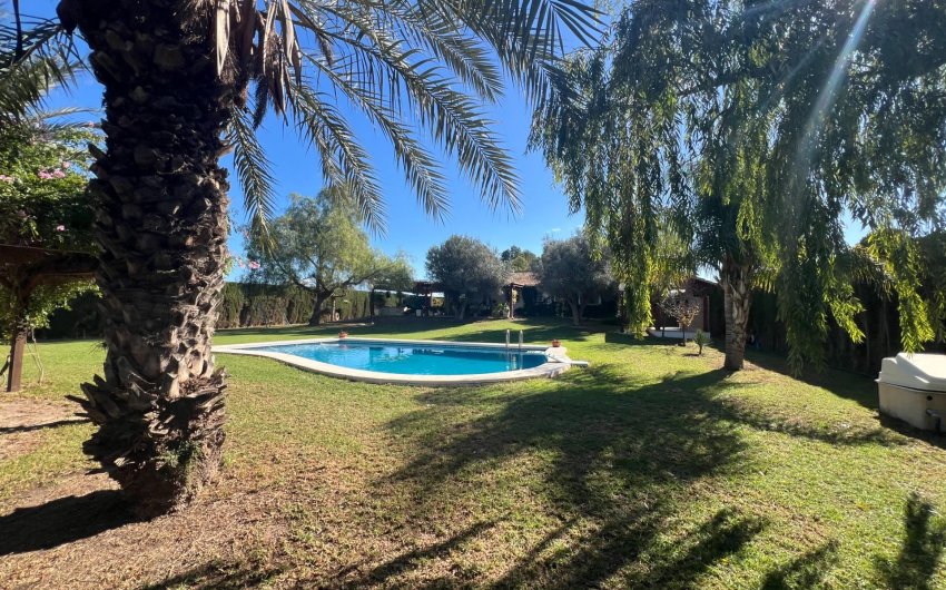 Revente - Finca -
Dolores - Comunidad Valenciana