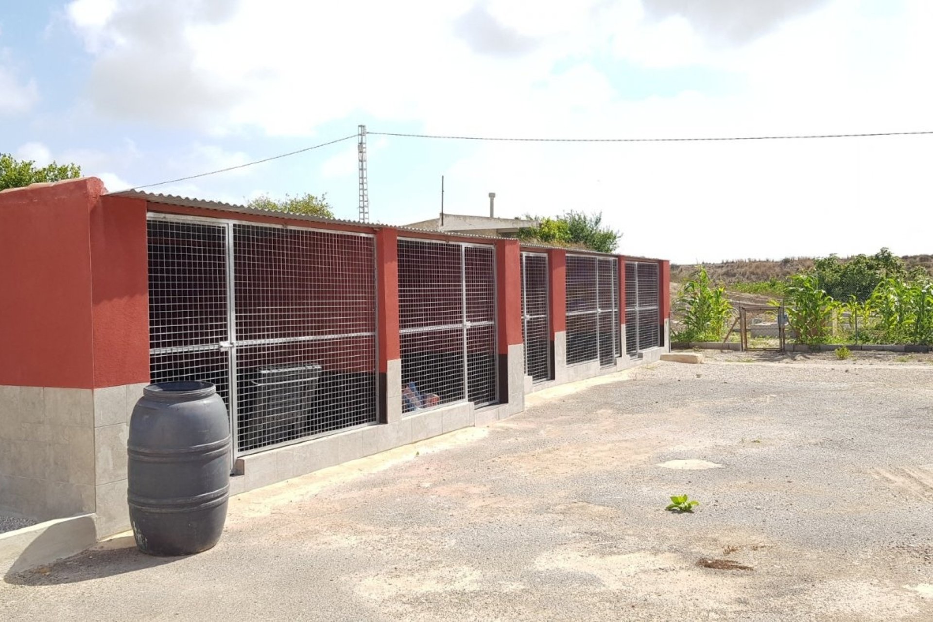 Revente - Finca -
Los Montesinos