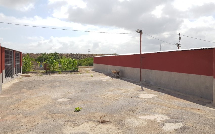 Revente - Finca -
Los Montesinos