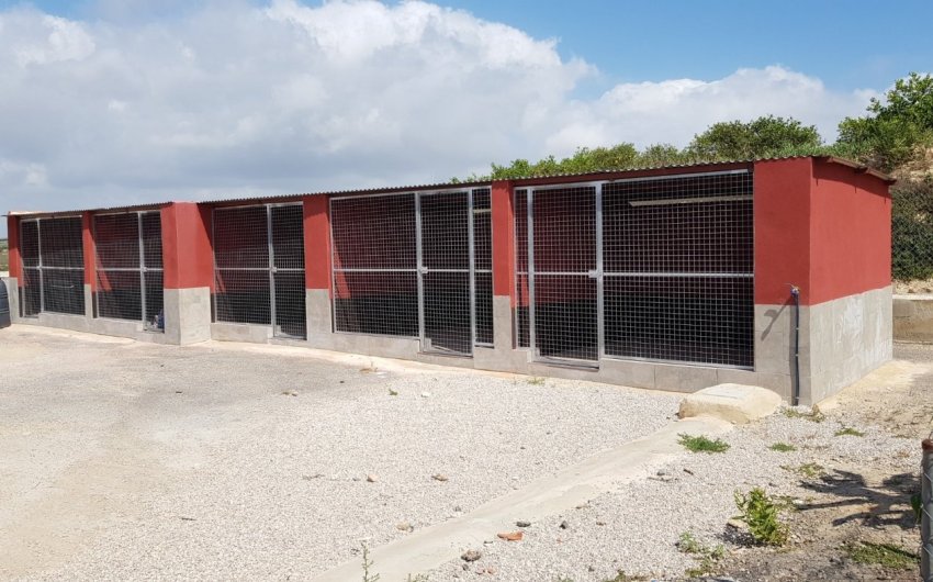 Revente - Finca -
Los Montesinos