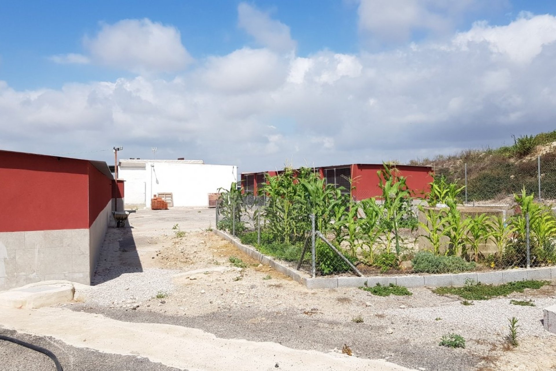 Revente - Finca -
Los Montesinos