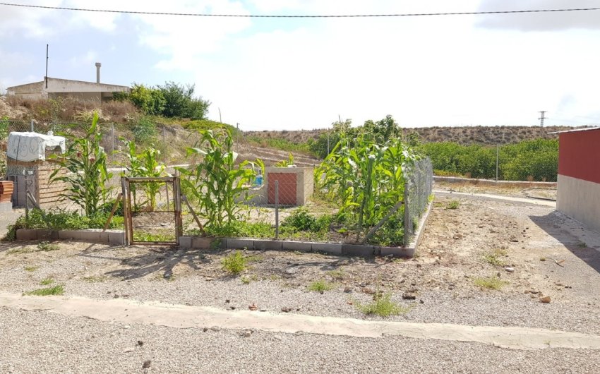 Revente - Finca -
Los Montesinos