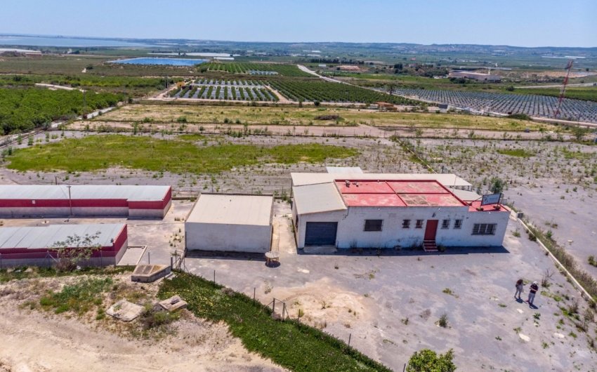 Revente - Finca -
Los Montesinos