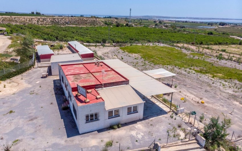 Revente - Finca -
Los Montesinos