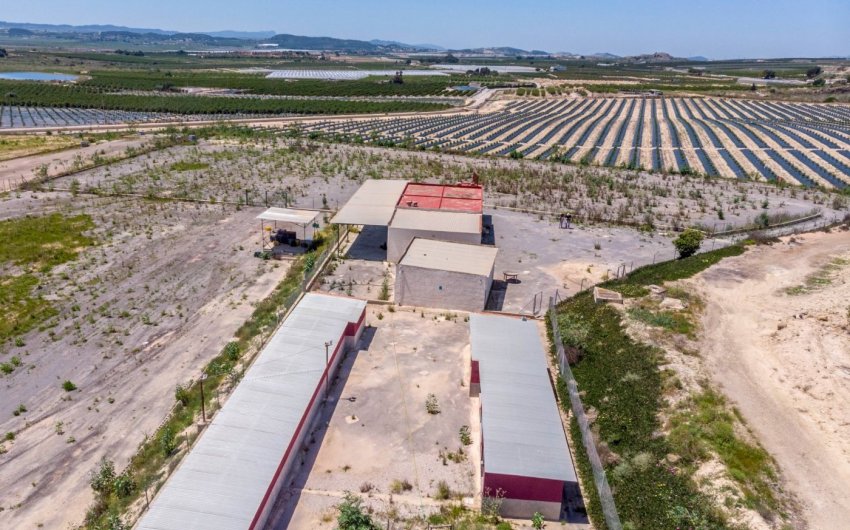 Revente - Finca -
Los Montesinos