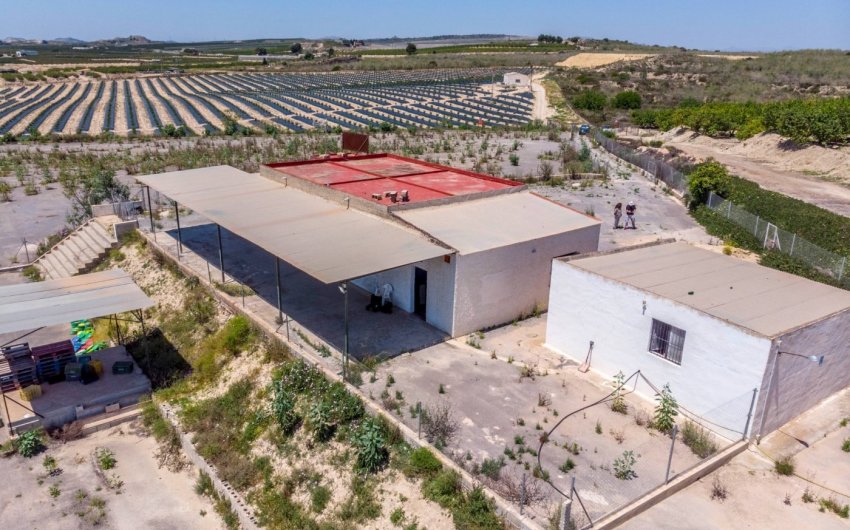 Revente - Finca -
Los Montesinos