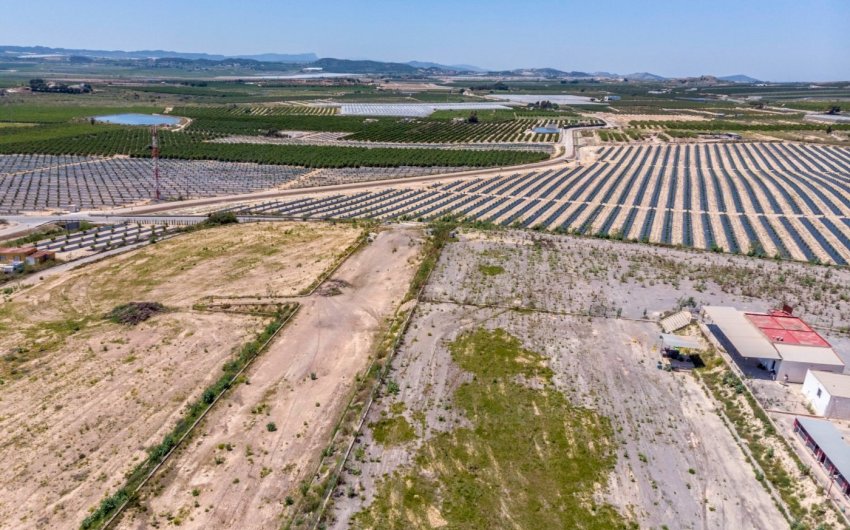 Revente - Finca -
Los Montesinos