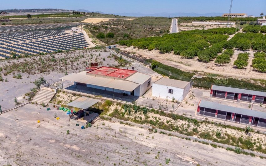 Revente - Finca -
Los Montesinos