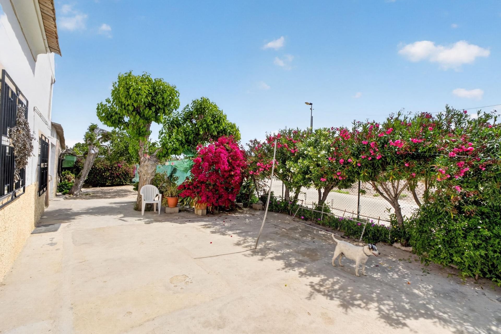 Revente - Finca -
Orihuela - Desamparados-hurchillo-torremendo