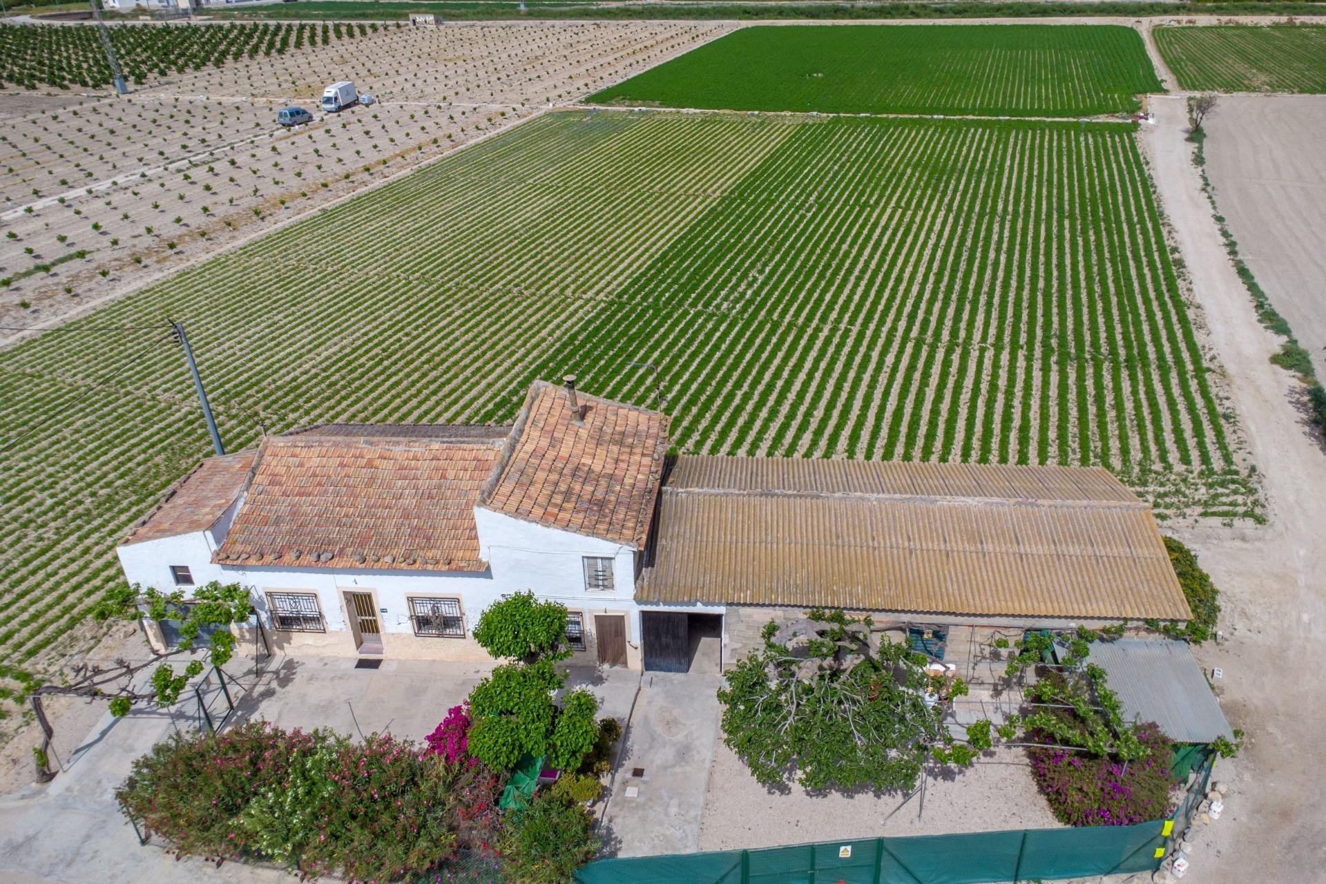 Revente - Finca -
Orihuela - Desamparados-hurchillo-torremendo