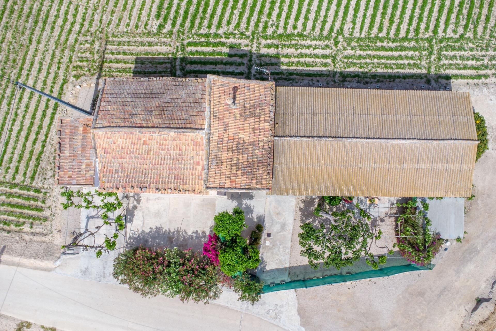 Revente - Finca -
Orihuela - Desamparados-hurchillo-torremendo