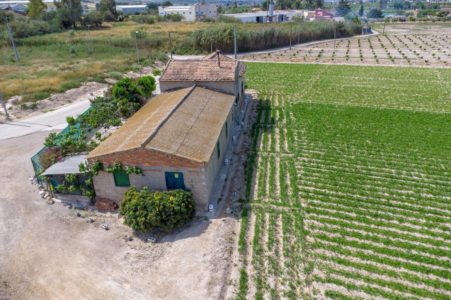 Revente - Finca -
Orihuela - Desamparados-hurchillo-torremendo