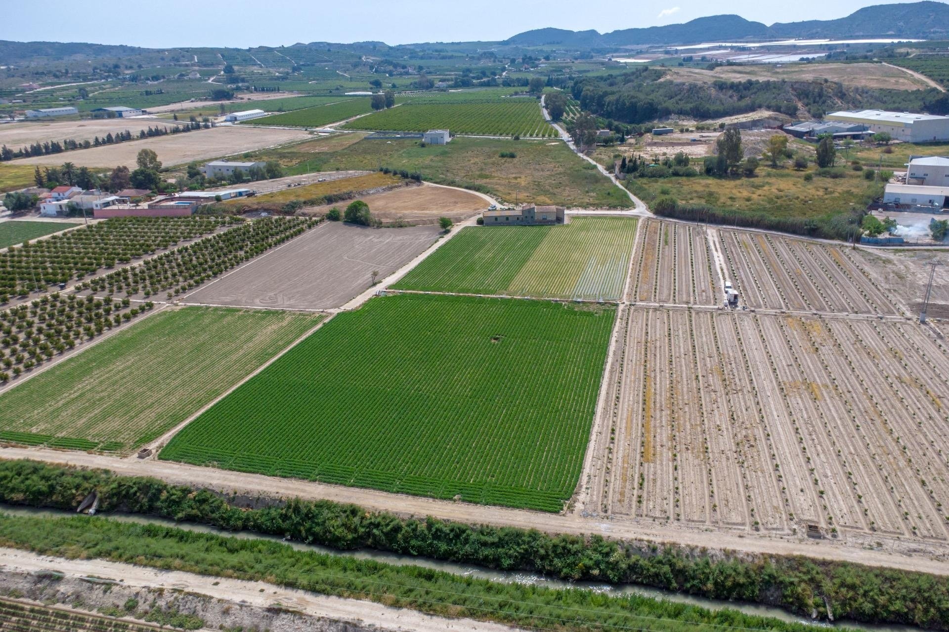 Revente - Finca -
Orihuela - Desamparados-hurchillo-torremendo