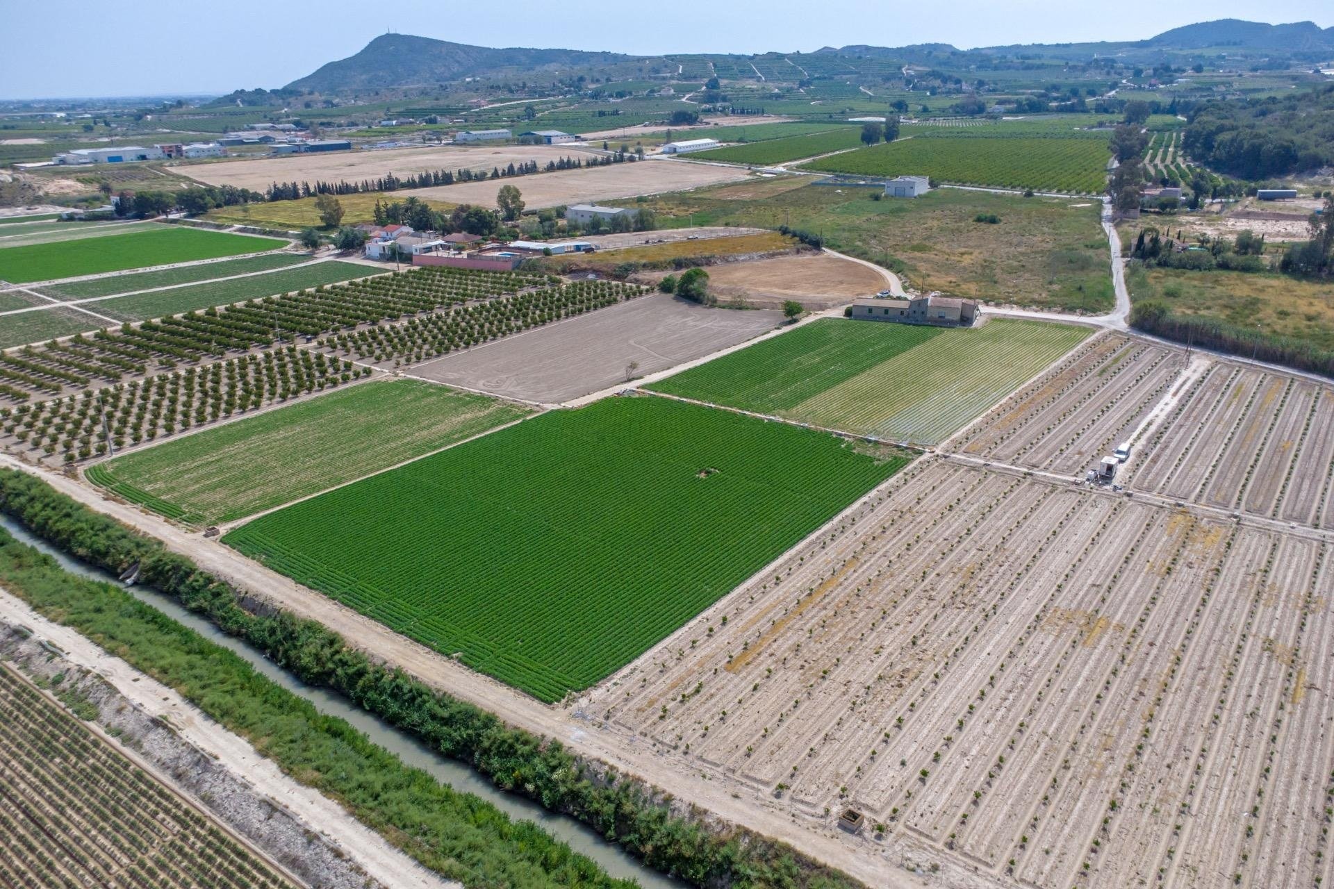 Revente - Finca -
Orihuela - Desamparados-hurchillo-torremendo