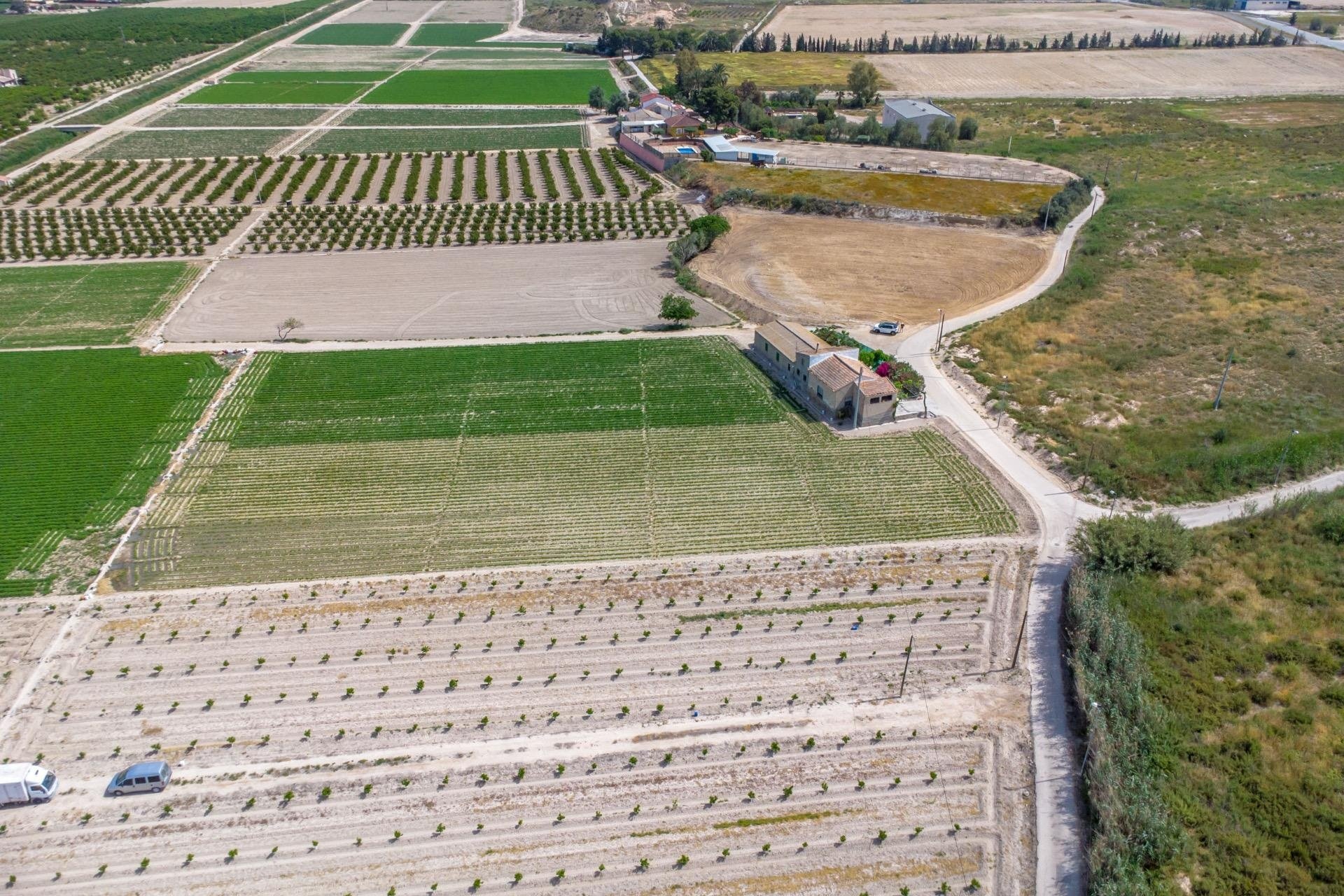 Revente - Finca -
Orihuela - Desamparados-hurchillo-torremendo