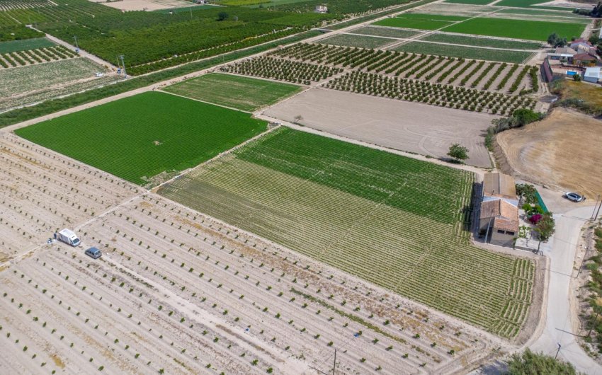 Revente - Finca -
Orihuela - Desamparados-hurchillo-torremendo