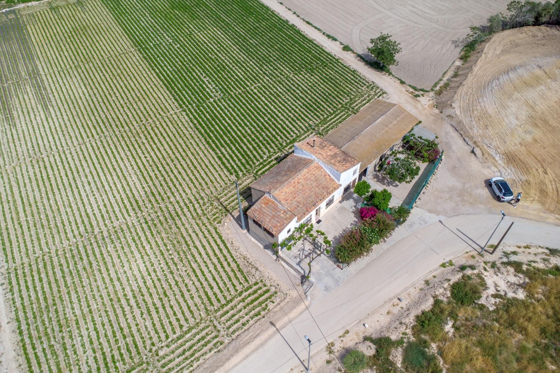 Revente - Finca -
Orihuela - Desamparados-hurchillo-torremendo