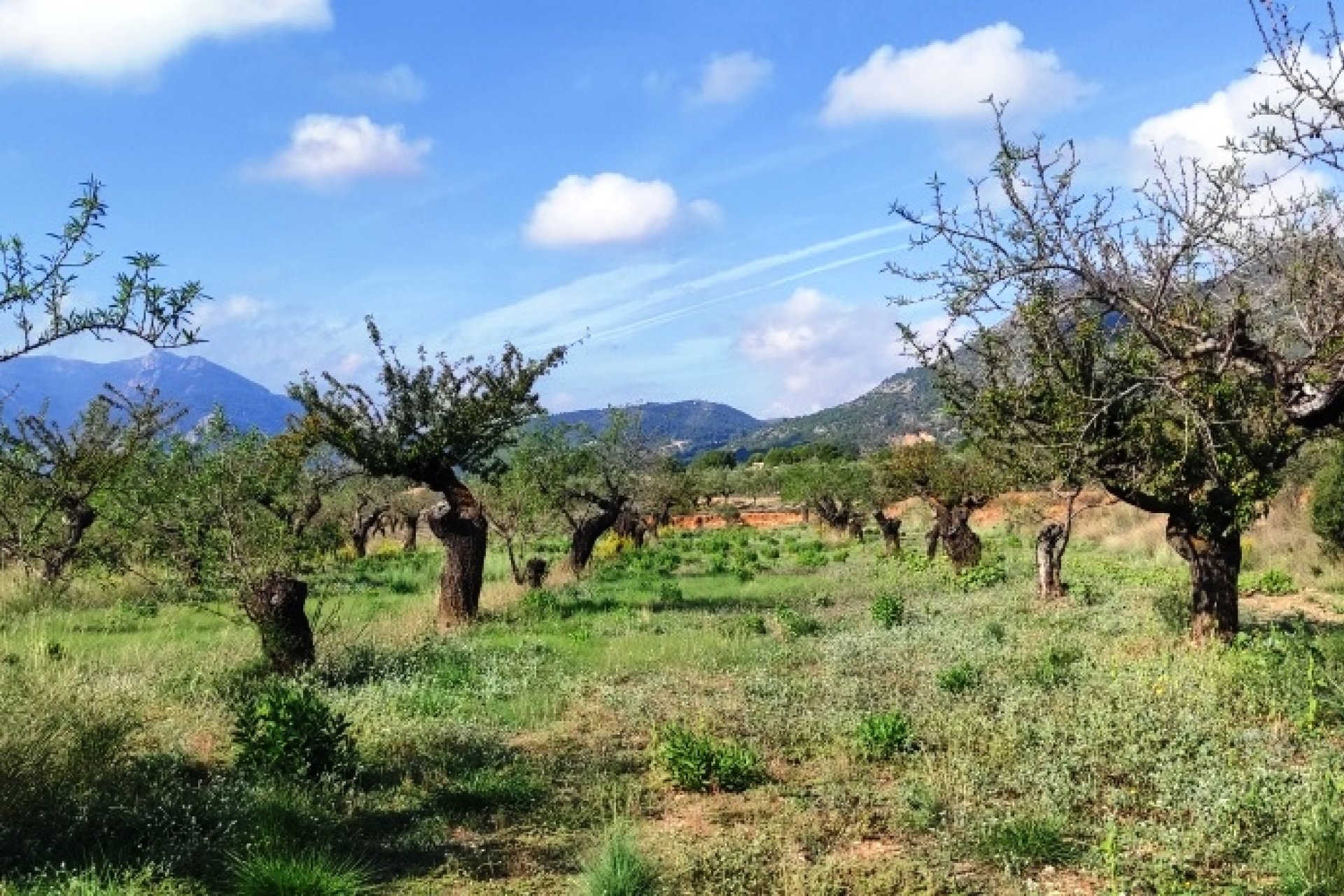 Revente - Land -
Gaianes