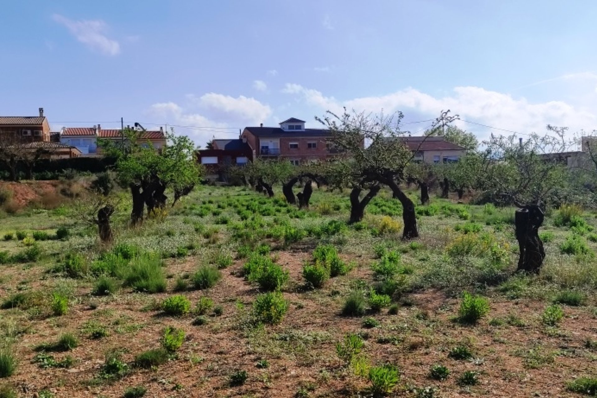 Revente - Land -
Gaianes