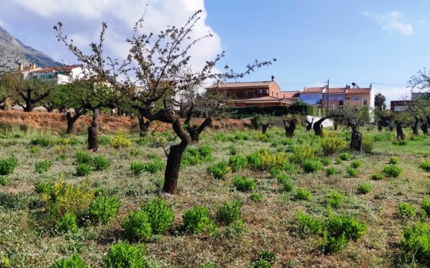 Revente - Land -
Gaianes