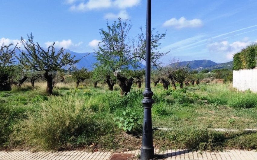 Revente - Land -
Gaianes