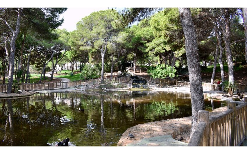 Revente - Land -
Guardamar del Segura