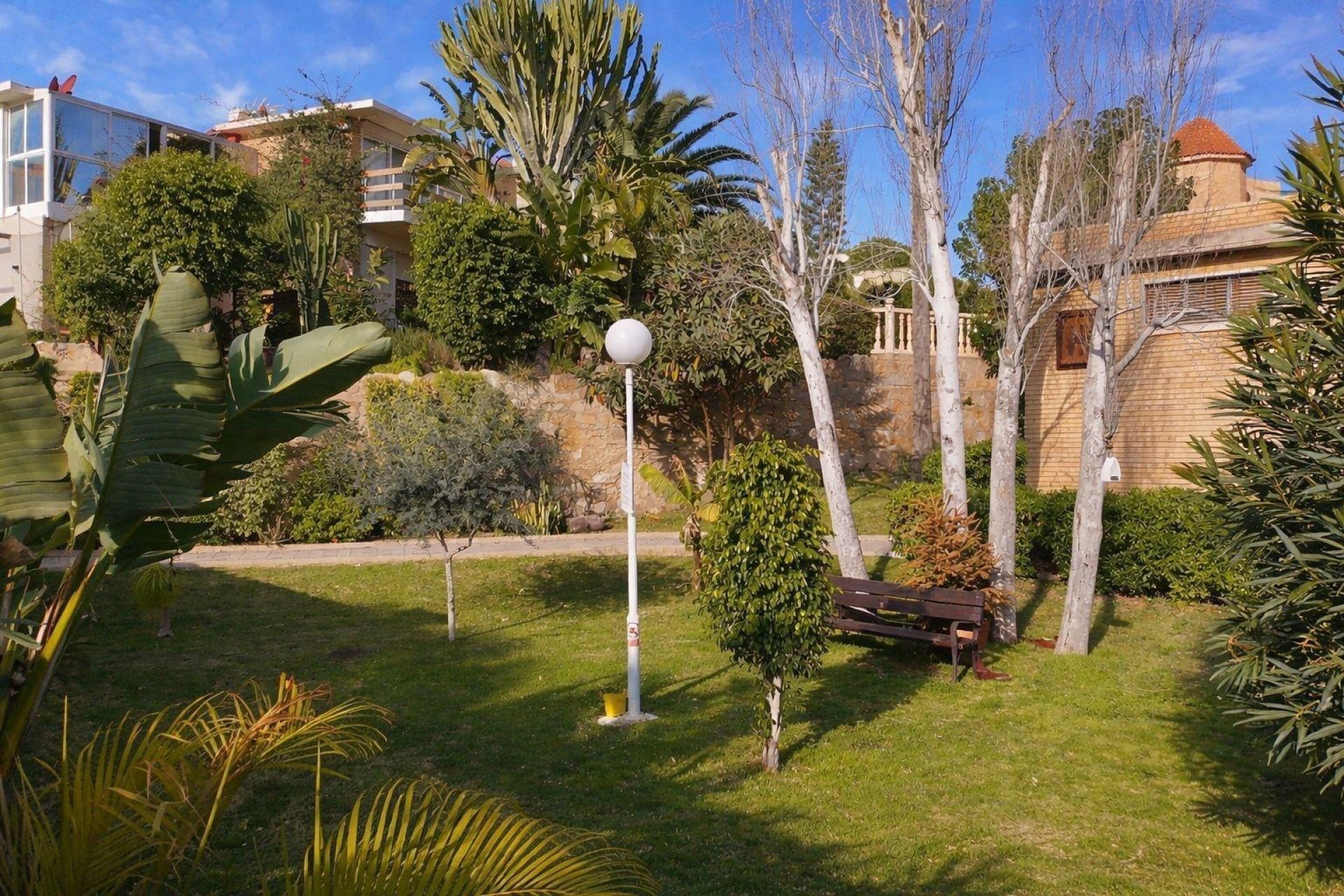 Revente - Maison de ville -
San Juan Playa - Cabo de las huertas