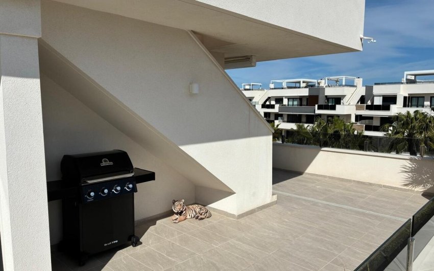Revente - Penthouse Penthouse -
Los Almendros (Orihuela-Costa) - Costa Blanca